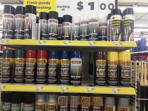 Does Dollar General Sell Spray Paint? And Why Do We Always Find Ourselves in the Paint Aisle?