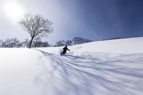 グランスノー奥伊吹 宿泊：雪の王国での一夜の夢