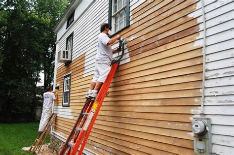 How Much to Paint Siding on a House: A Kaleidoscope of Perspectives and Unrelated Musings