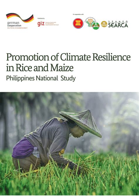 La rivoluzione del riso: Un omaggio alla resilienza di Filipinas e ai suoi agricoltori pionieri